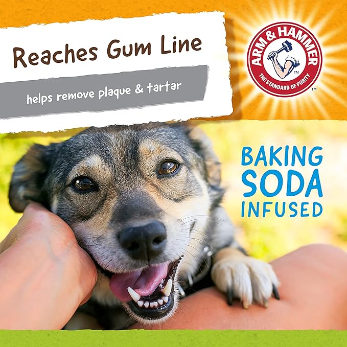 ARM & HAMMER for Pets Nubbies Duality Bone Dental Dog Toy- Best Dog Chew Toy - Image 5