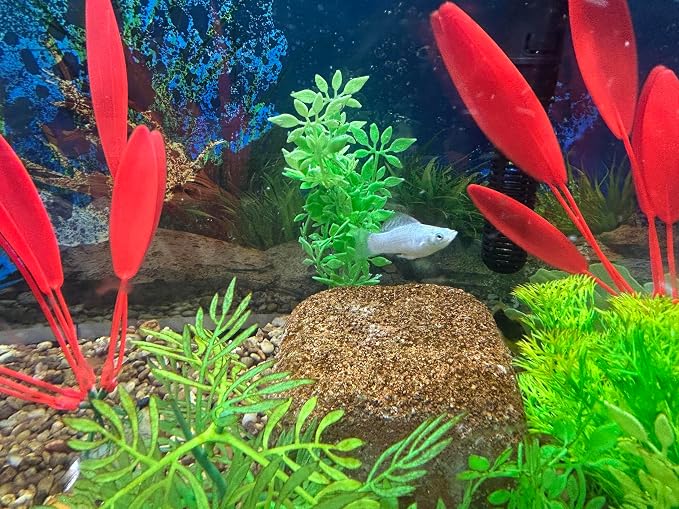 Aquarium Stone for Natural Water Clarification and Odor Removal Featuring - Image 4