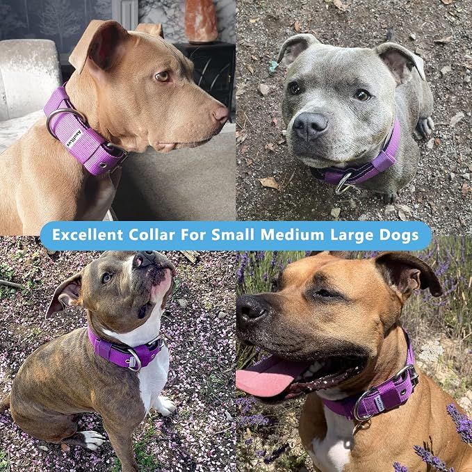 Heavy Duty Tactical Dog Collar - Image 2
