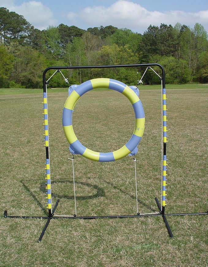 Agility Tire Jump - Image 2