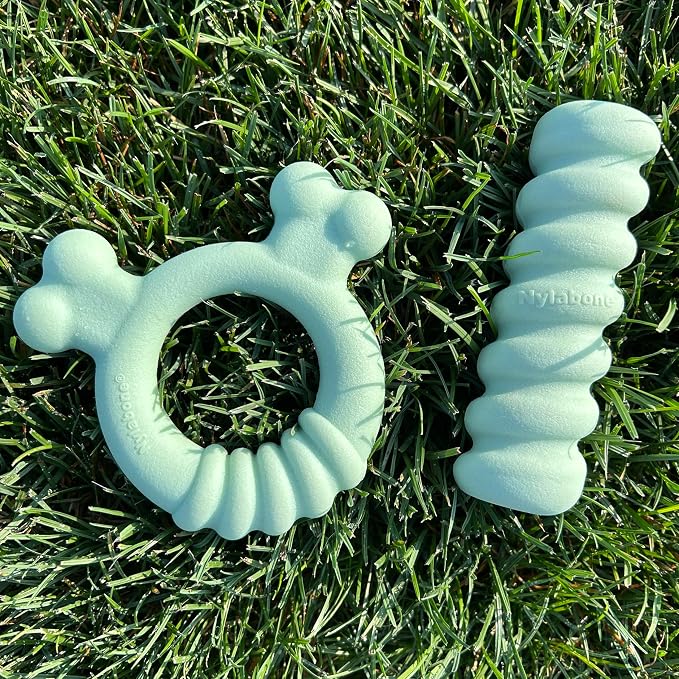 Nylabone Sensory Material Soothing Puppy Chew Toy Ring, Toys - Image 10