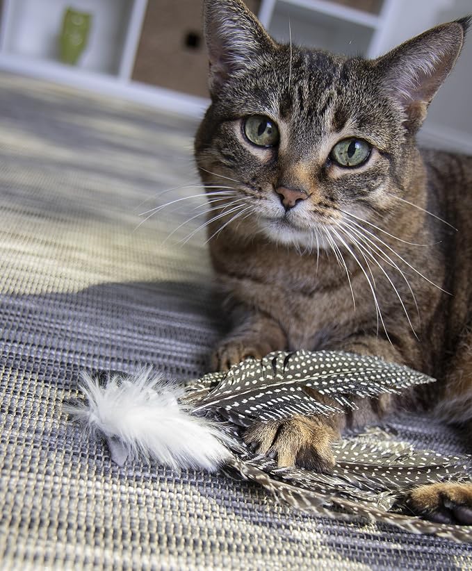 Petlinks HappyNip Zippy Zebra Feather Cat Toy, Contains Silvervine & Catnip - Image 7
