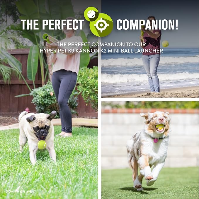 Hyper Pet Mini Tennis Balls for Dogs - Image 3