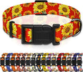Sunflower Dog Collar, Floral Boys Girls Puppy Collar by Seyezo