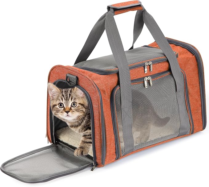 Mr. Pen Pet Carrier by MrPen