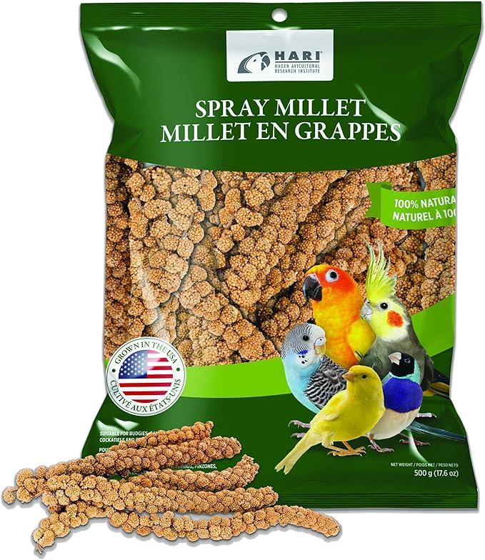 Living World – Millet Spray for Birds, 17.6 Oz – Premium Treat for Budgies by LivingWorld
