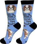 E&S Pets Pet Lover Socks by ESPETS