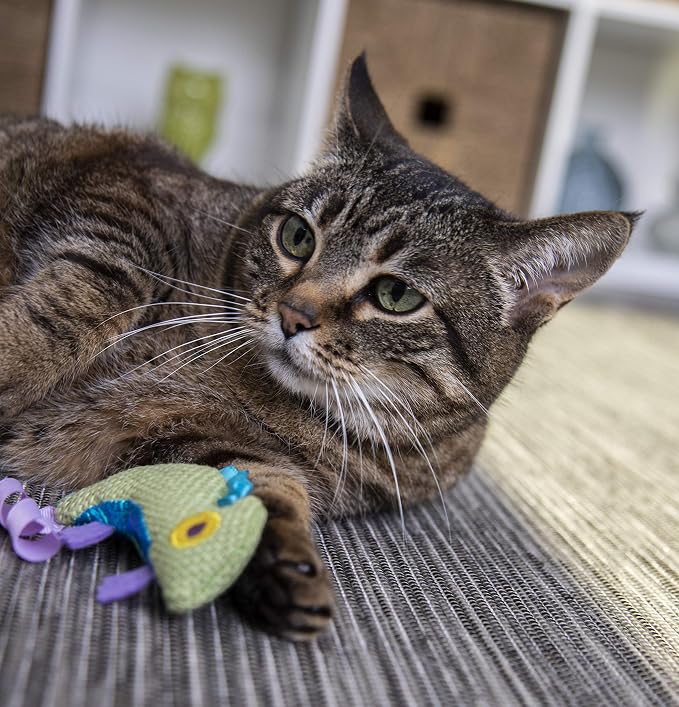 Petlinks HappyNip Crinkle Chameleon Cat Toy, Contains Silvervine & Catnip - Image 6