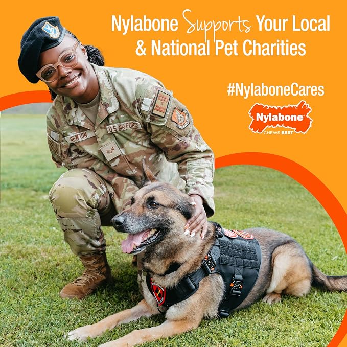 Nylabone Gourmet Style Femur & Wishbone Strong Chew Toy - Image 12