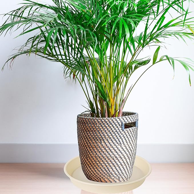 6 Pack of 6 inch Plant Saucer Drainage Tray, 4 5 7 8 10 12 13 15 17 19 inch - Image 7