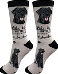 E&S Pets Pet Lover Socks by ESPETS