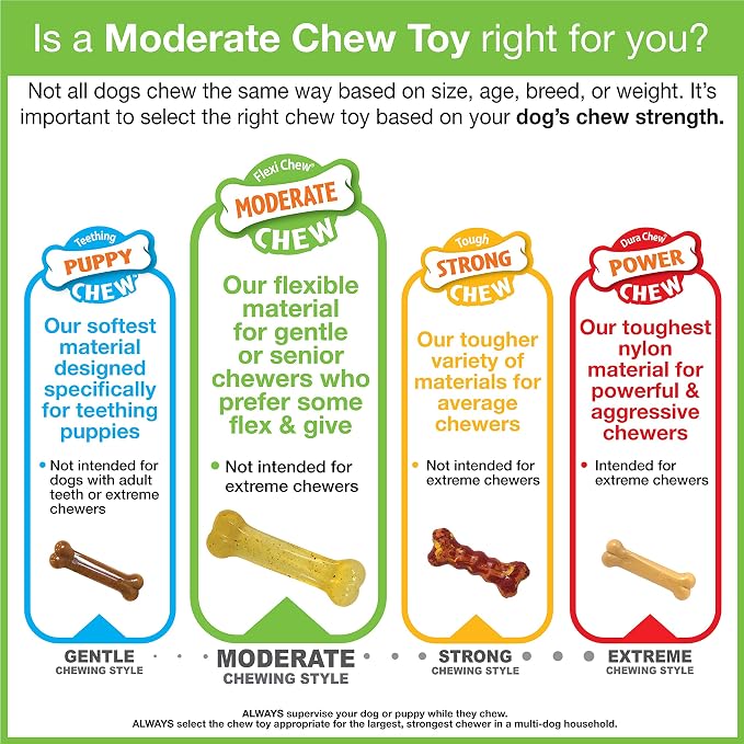Nylabone Original Bone Flexi Chew Toy - Image 11