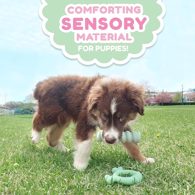 Nylabone Sensory Material Soothing Puppy Chew Toy Ring, Toys - Image 5