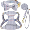 Beirui Cute Extra Small Dog Harness Collar and Leash Set by Beirui