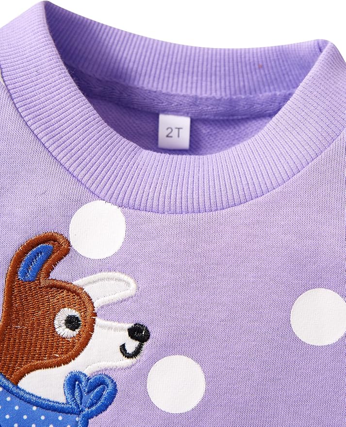 Toddler Baby Girls Cotton Sweater, Long Sleeve Crewneck Sweatshirt Pullover - Image 4