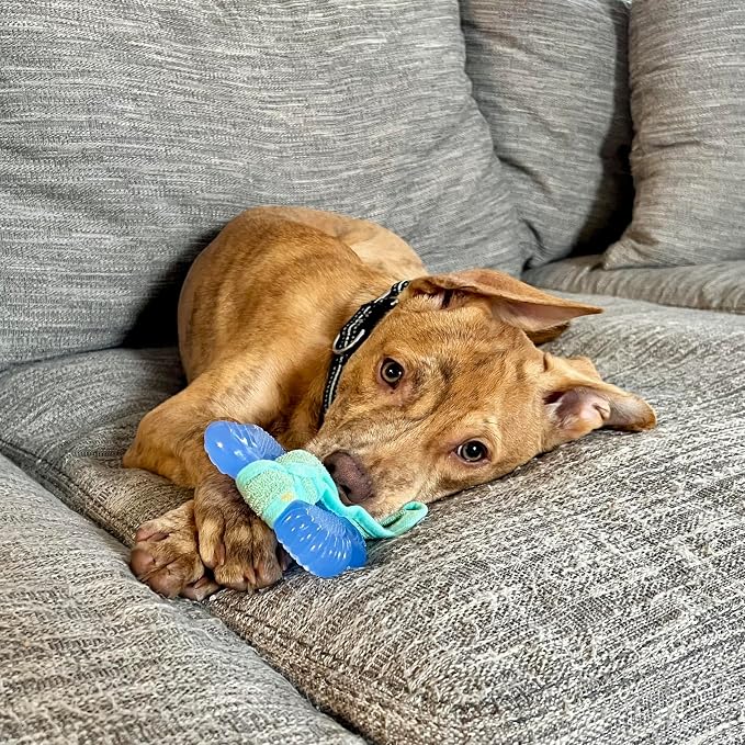 Nylabone Freezer Bone Puppy Chew Toy, Soothing Teething Toys - Image 2