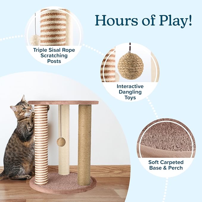 Cat Scratching Post - Image 2