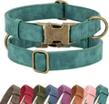 Didog Soft PU Leather Dog Collar, Stylish Quick Released Dog Collars by Didog