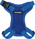 Voyager Step-in Lock Adjustable Cat Harness w. Cat Leash Combo Set by BestPetSuppliesLLC