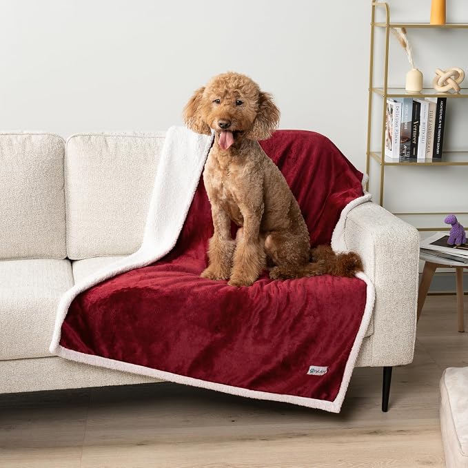 PetAmi Waterproof Dog Blanket for Small Medium Dog Puppy Cat Throw for Couch - Image 7