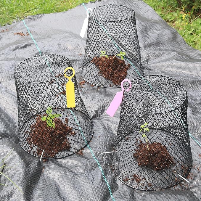 Anothera 20Pcs Chicken Wire Cloche Plant Covers, 9.2×9.2 Inches Plant - Image 6