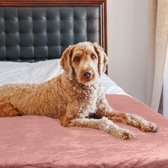 PETMAKER Dog Blanket - Image 7
