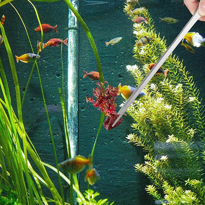 2PCS Long Aquarium Tweezers - Image 7