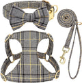 Beirui Cute Small Dog Harness Collar and Leash Set by Beirui
