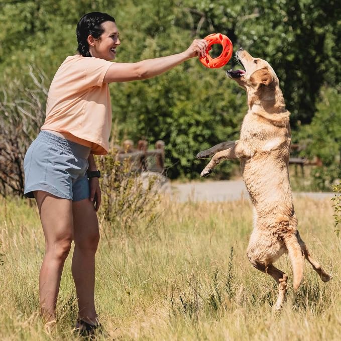 Chuckit! Air Fetch Wheel Dog Toy - Image 6