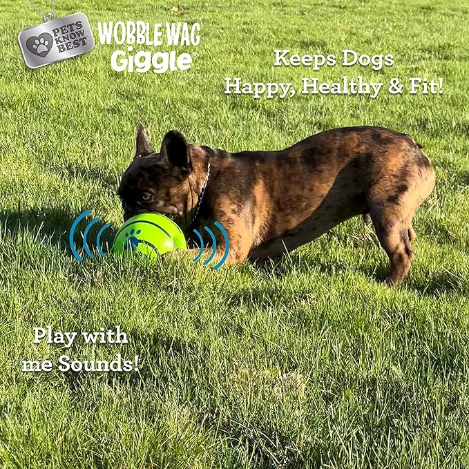 Wobble Wag Giggle Ball | Rolling Enrichment Toy - Image 4