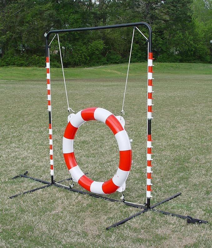 Agility Tire Jump - Image 8