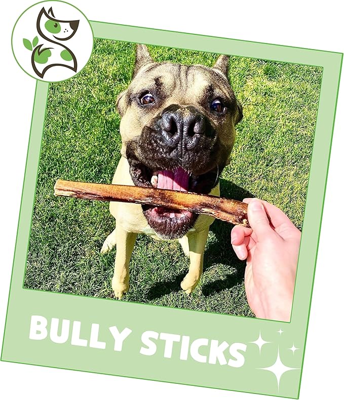 Nature Gnaws Bully Sticks for Dogs 5-6" - Image 6