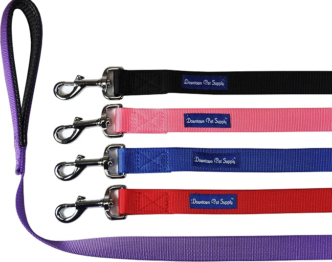 Downtown Pet Supply 6ft Dog Leash - Image 2
