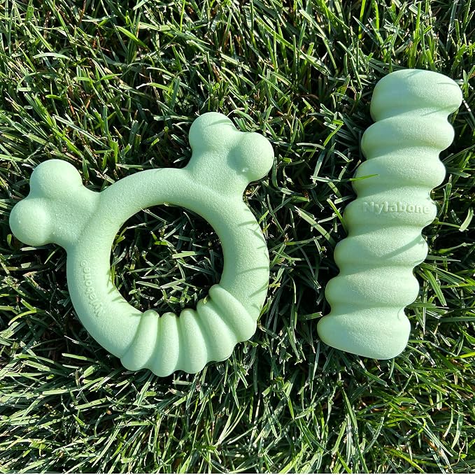 Nylabone Sensory Material Soothing Puppy Chew Toy Bundle, Toys - Image 11