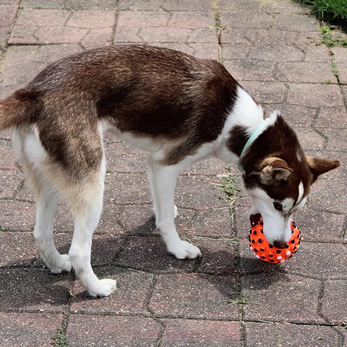 SPOT Vinyl Gumdrop Ball Dog Toy - Image 5