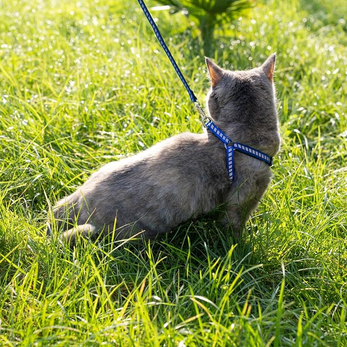 Filbert Cat Harness and Leash Set - Image 9