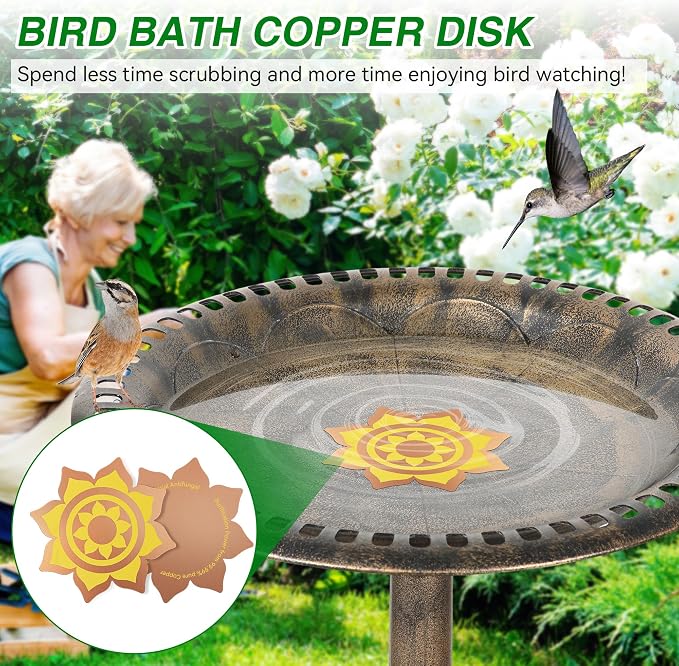 Saillong 2 Pack Bird Bath Copper Disk, Reinforced 99.99% Pure Copper Bird Bath - Image 6