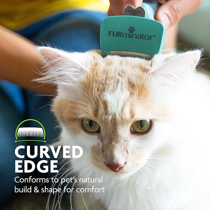 FURminator® deShedding Tool For Small Cats, Short Hair, Removes Loose Hair From - Image 4