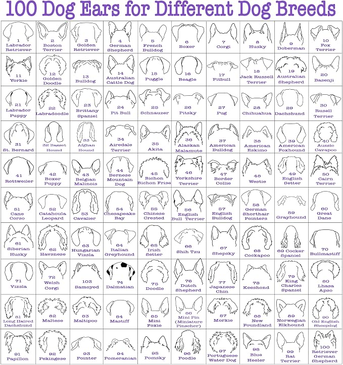 Custom Dog Mom Shirt for Women Pet Ears Sweatshirt - Image 2