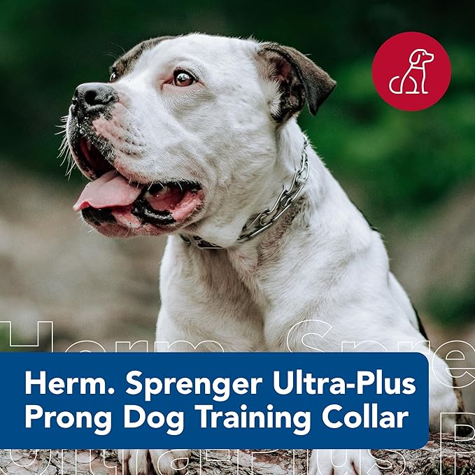 Herm SPRENGER Ultra-Plus Prong Dog Training Collar, 4 mm x 21" Neck Size - Image 2