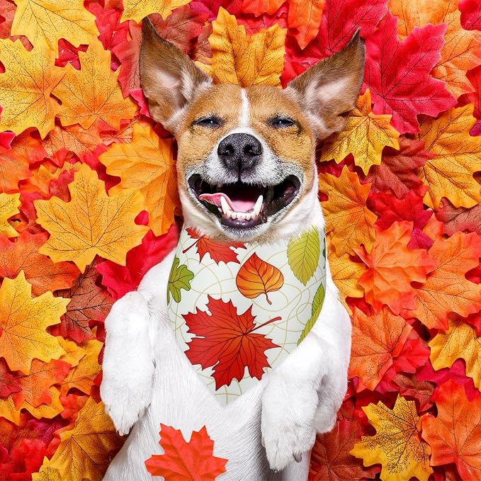Abbylike 50 Pcs Fall Thanksgiving Dog Maple Leaves Bandanas Bulk Bandanas - Image 4