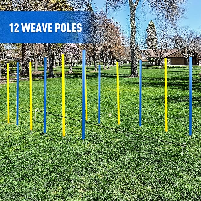 Pet Prime Dog Agility Training Equipment - Image 5