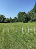 Dog Agility Equipment Deluxe Beginner Set, 3 Bar Jumps, 6 Weave Poles, 1 by The+Dog+Agility+Shop%C2%AE