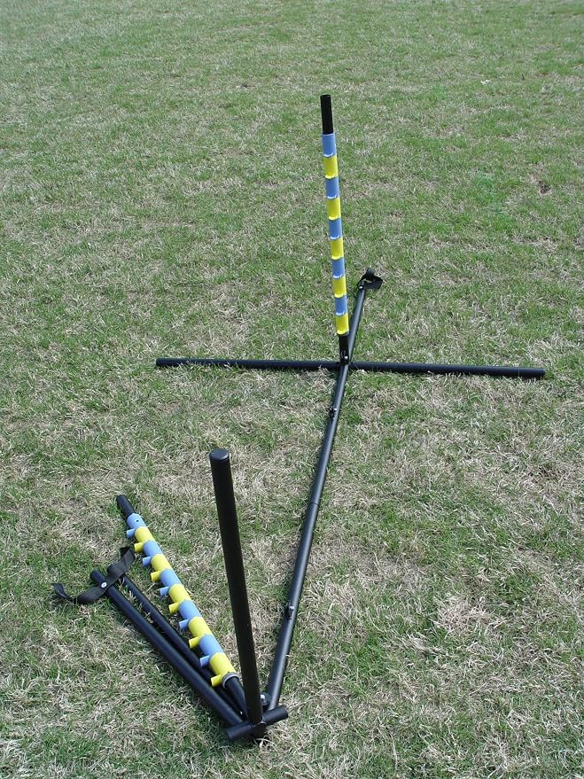 Agility Tire Jump - Image 6